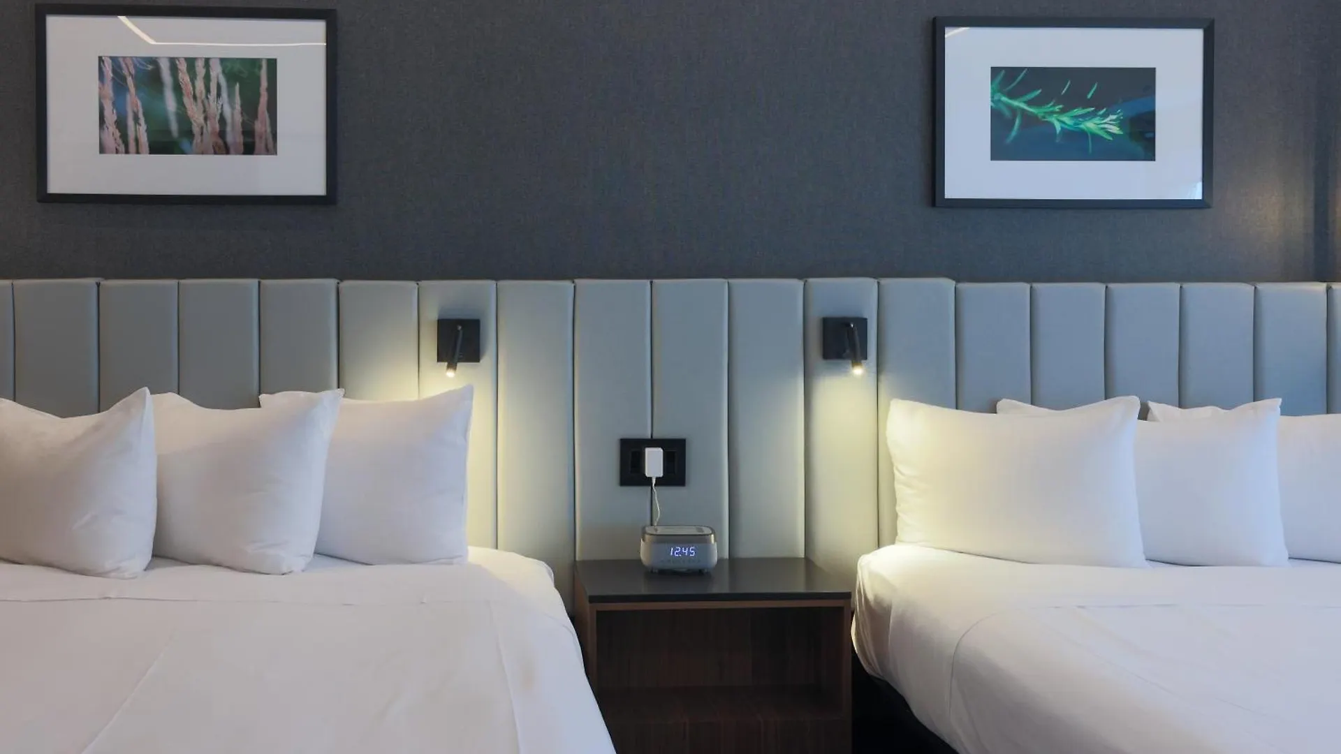 ****  Hotel Bonaventure Montréal Canadá